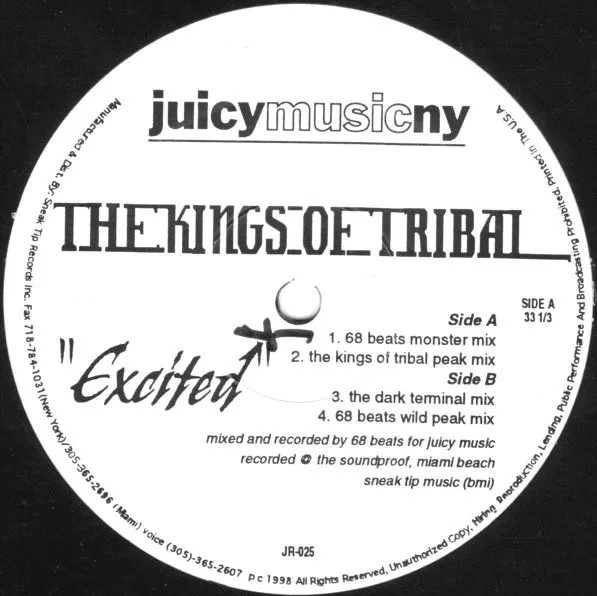 Album cover for Excited by Kings Of Tribal, The