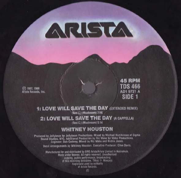 Album cover for Love Will Save The Day by Whitney Houston