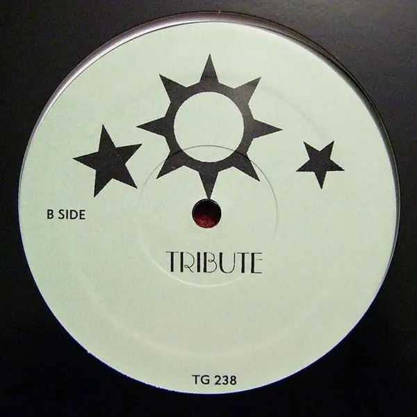 Sunburst Band, The, Soul Ascendants - Garden Of Love / Tribute, Electronic, House, Tribal, 2007 - Not On Label, UK, Vinyl 1x 