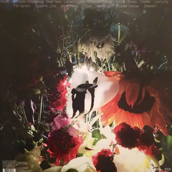 Abe Vigoda - Skeleton, Pop, Rock, Indie Rock, Noise, Punk, 2008 - Post Present Medium, US, Vinyl 1x LP, Album