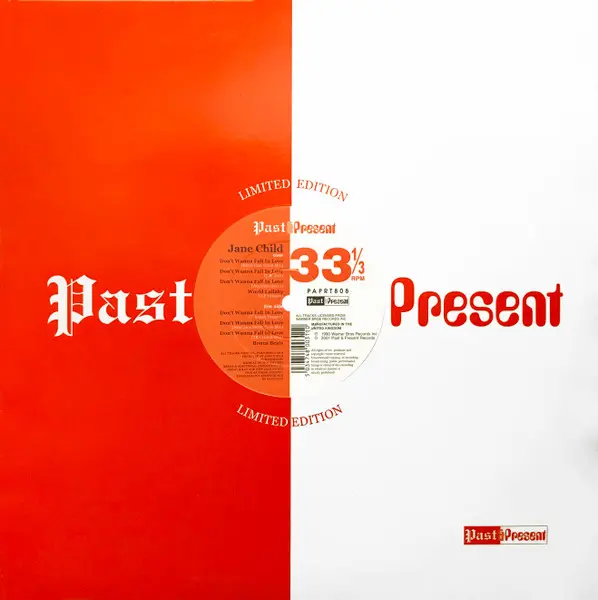 Album cover for Don't Wanna Fall In Love by Jane Child