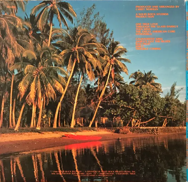 Randy Stonehill - The Sky Is Falling - 1980 - - Solid Rock Records - Vinyl 1x LP, Album Gatefold