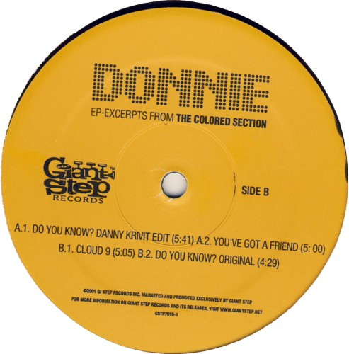 Album cover for Excerpts From The Colored Section EP by Donnie