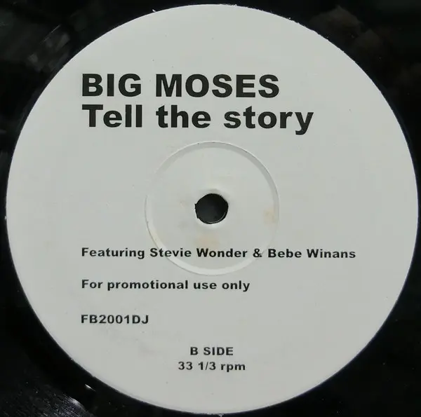 Big Moses Featuring Stevie Wonder & BeBe Winans - Tell The Story, Electronic, Garage House, House, 2001 - Not On Label, US, V