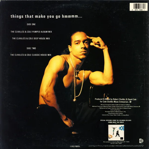 Album cover for Things That Make You Go Hmmmm... by C + C Music Factory Featuring Freedom Williams