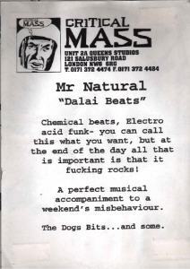 Mr. Natural - Dalai Beats, Electronic, Acid, Breakbeat, 1996 - Critical Mass, UK, Vinyl 1x 12"