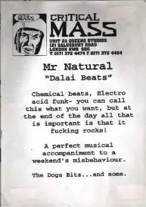 Mr. Natural - Dalai Beats, Electronic, Acid, Breakbeat, 1996 - Critical Mass, UK, Vinyl 1x 12"