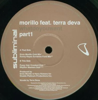 Album cover for What Do You Want (Part 1) by Erick Morillo Feat. Terra Deva