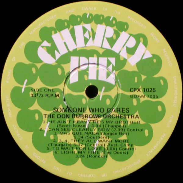 Album cover for Someone Who Cares by Don Burrows Orchestra With Strings, The