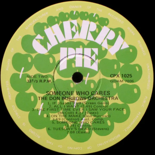 Album cover for Someone Who Cares by Don Burrows Orchestra With Strings, The