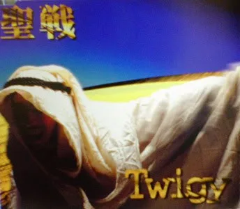 Album cover for 聖戦 by Twigy