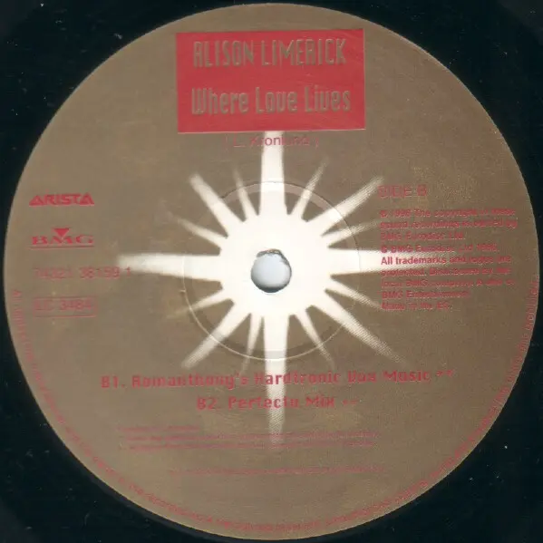 Alison Limerick - Where Love Lives, Electronic, Garage House, House, 1996 - Arista, BMG Eurodisc Ltd., Europe, Vinyl 1x 12", 