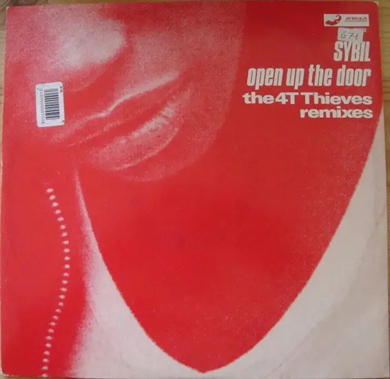Open Up The Door (The 4T Thieves Remixes)