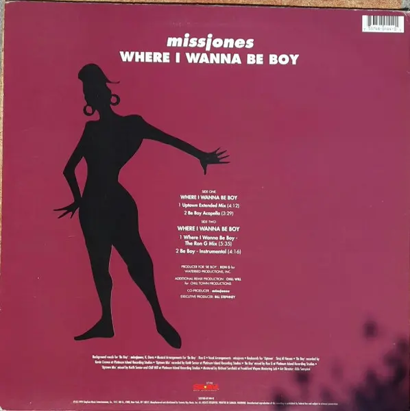 Miss Jones (2) - Where I Wanna Be Boy, Electronic, Downtempo, Garage House, House, 1994 - StepSun Music Entertainment, US, Vi