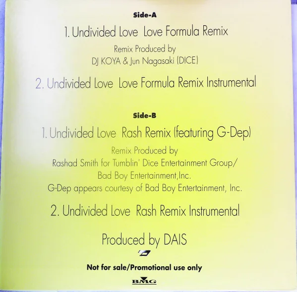 Album cover for Undivided Love by Jay (14)