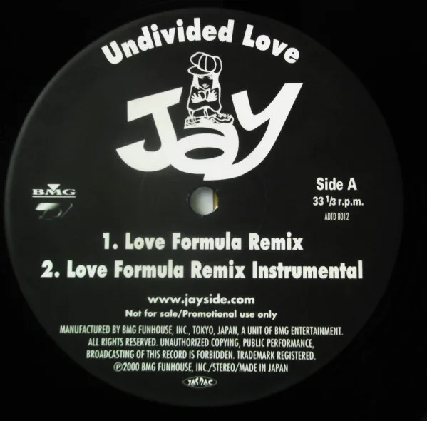 Album cover for Undivided Love by Jay (14)