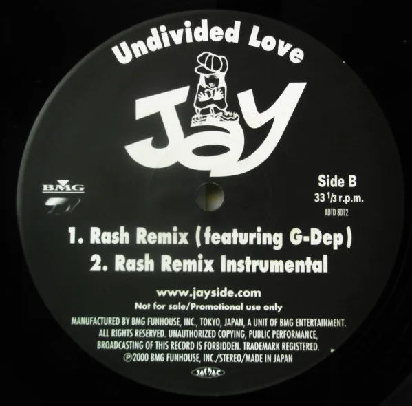Album cover for Undivided Love by Jay (14)