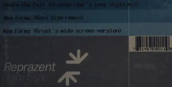 Roni Size / Reprazent - Share The Fall, Electronic, Drum n Bass, 1997 - Talkin' Loud, UK, Vinyl 1x 12", 33 ⅓ RPM 2₂