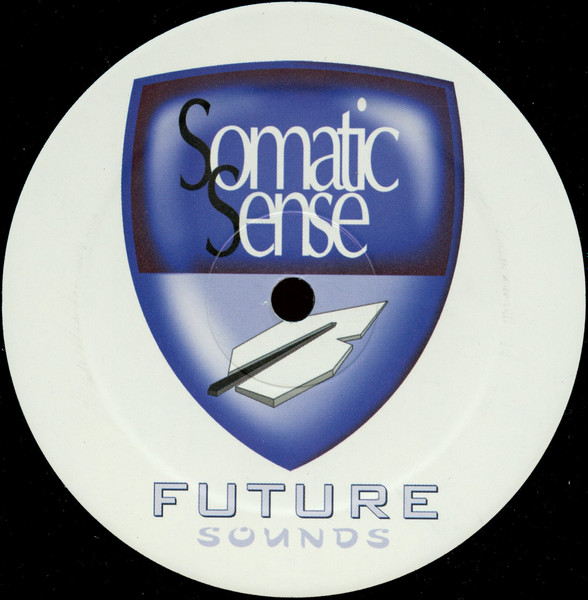 Alucard vs Team4 - Winter Soul, Electronic, Progressive Trance, Trance, 2005 - Somatic Sense Future Sounds, Netherlands, Viny