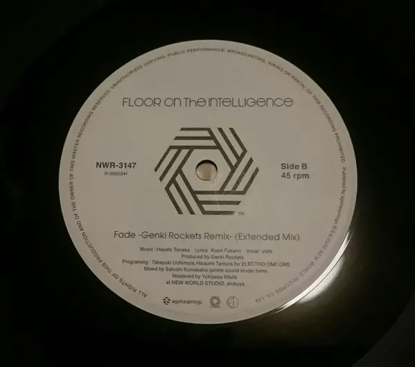 Floor On The Intelligence - Untouchable / Fade, Electronic, House, New World Records (4), Japan, Vinyl 1x 12", 33 ⅓ RPM