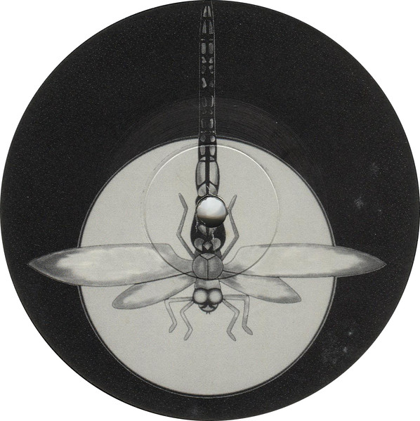 Venus - I Got Something, Electronic, Progressive Trance, 2001 - Dragonfly Records, UK, Vinyl 1x 12"