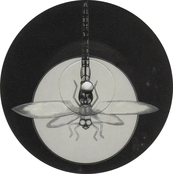 Venus - I Got Something, Electronic, Progressive Trance, 2001 - Dragonfly Records, UK, Vinyl 1x 12"