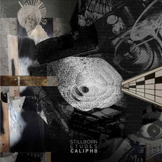 Stillborn Etudes