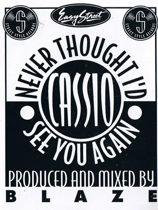 Cassio Ware - Never Thought I'd See You Again, Electronic, Deep House, House, 1993 - Street Style, US, Vinyl 1x 12", 33 ⅓ RPM