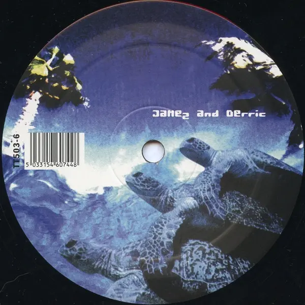 Jamez And DJ Derric - Virtualize, Electronic, Techno, 2000 - TT500, UK, Vinyl 1x 12", 45 RPM