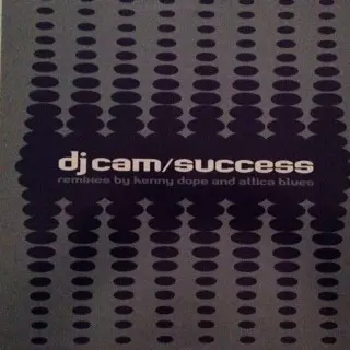 DJ Cam - Success, Electronic, Breakbeat, Trip Hop, 1998 - Inflamable, France, Vinyl 1x 12"