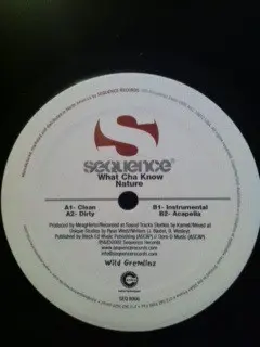 Nature (4) - What Cha Know, Hip Hop, 2002 - Sequence Records, US, Vinyl 1x 12"
