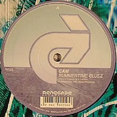 Album cover for Summertime Bluez / Anything by Cam (2)