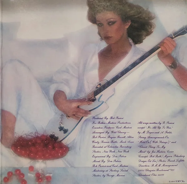 Album cover for Electrified Funk by Wild Cherry