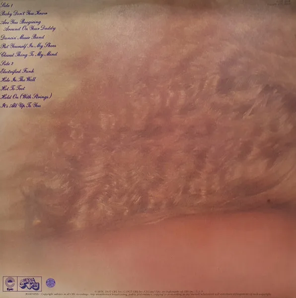 Album cover for Electrified Funk by Wild Cherry