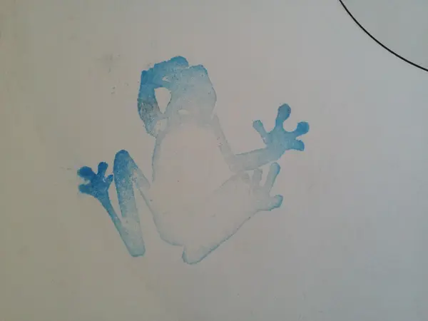 Fred Stonka / Frogs - All You Need Is Frogs, Electronic, Breaks, Drum n Bass, Freetekno, 2004 - Frogs, UK, Vinyl 1x 12"