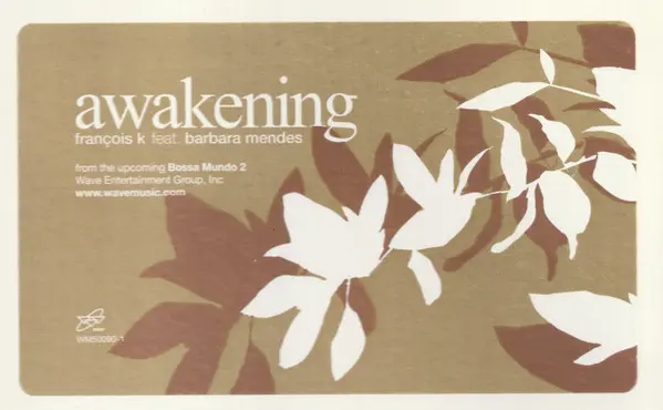 François Kevorkian Feat. Barbara Mendes - Awakening, Electronic, Deep House, House, Latin, 2002 - Wave Music, US, Vinyl 1x 12