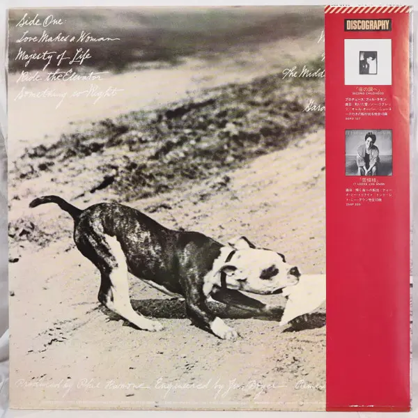 Phoebe Snow - Never Letting Go - 1977 -Pop Rock -CBS/Sony -Vinyl 1x LP, Album