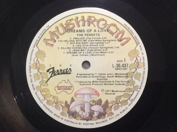 Album cover for Dreams Of A Love by Ferrets, The