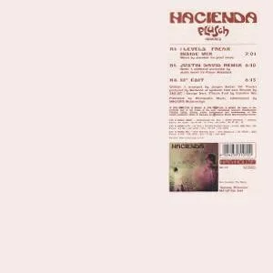Album cover for Plüsch (Remixes) by Hacienda
