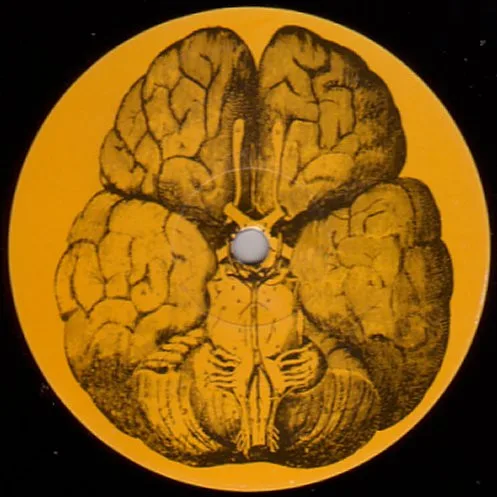 Album cover for Positive Notions / Careless Minds by Intense