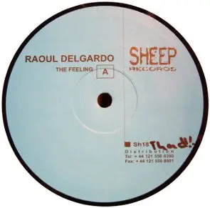 Raoul Delgardo - The Feeling, Electronic, Minimal, Techno, 1999 - Sheep Records, UK, Vinyl 1x 12"