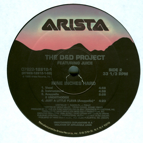 D&D Project, The Featuring 2 Unorthodox / Juice (18) - Just A Little Flava / Nine Inches Hard, Hip Hop, 1995 - Arista, US, Vi