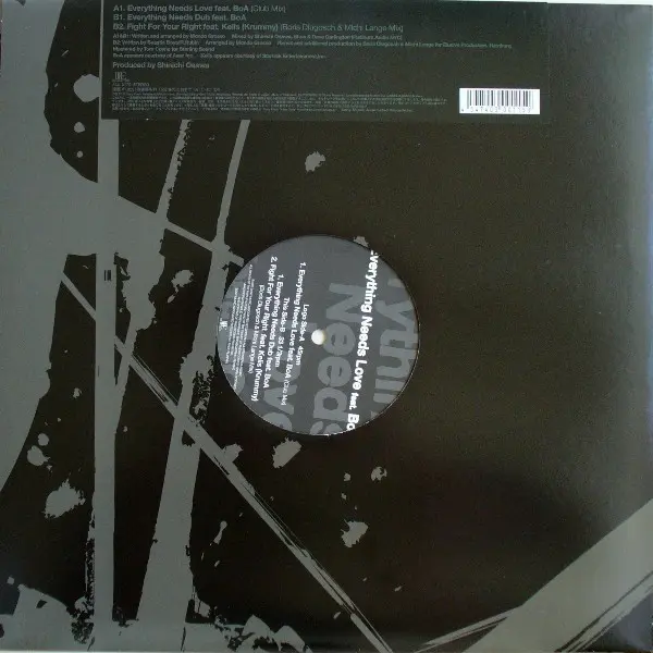 Mondo Grosso - Everything Needs Love, Electronic, Garage House, House, 2002 - Real Eyes, Japan, Vinyl 1x 12"