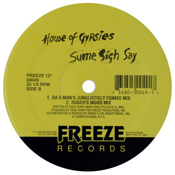 House Of Gypsies - Sume Sigh Say, Electronic, House, Tribal House, 1993 - Freeze Records, US, Vinyl 1x 12", 33 ⅓ RPM