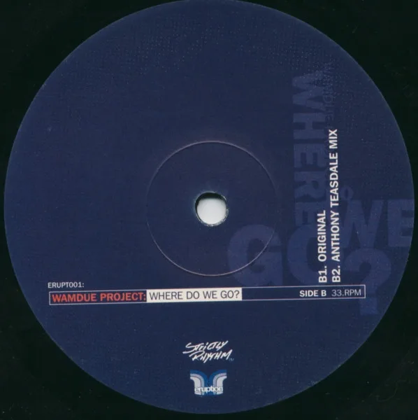 Album cover for Where Do We Go? by Wamdue Project