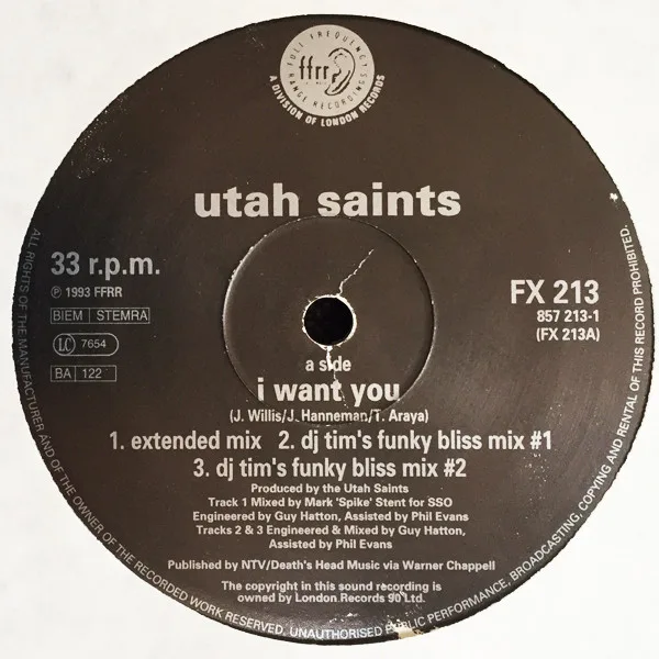 Album cover for I Want You by Utah Saints