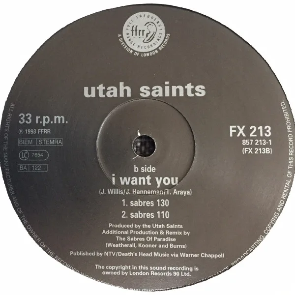 Album cover for I Want You by Utah Saints