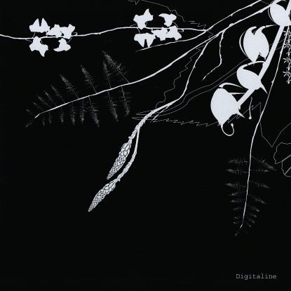 Rubicube / Belladone