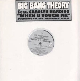 Big Bang Theory Featuring Carolyn Harding - When U Touch Me, Electronic, Disco, House, 1997 - Z Records, UK, Vinyl 1x 12", 33