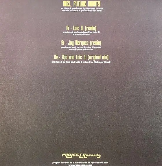 Miel (2) - Future Awaits, Electronic, Progressive House, 2006 - Project Records (3), France, Vinyl 1x 12"